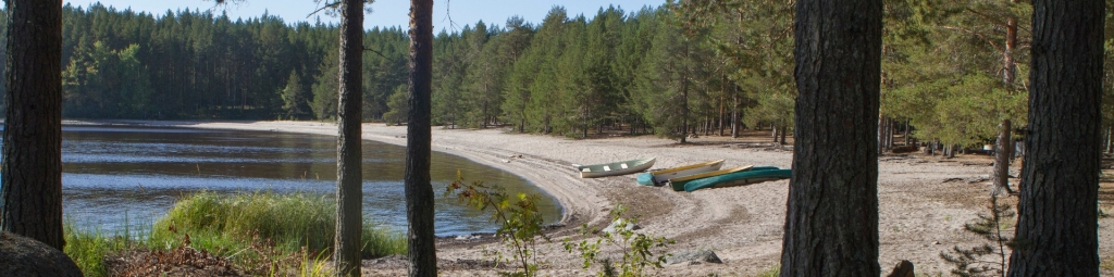 visitkoli